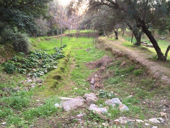 Parc de l'Académie de Platon
